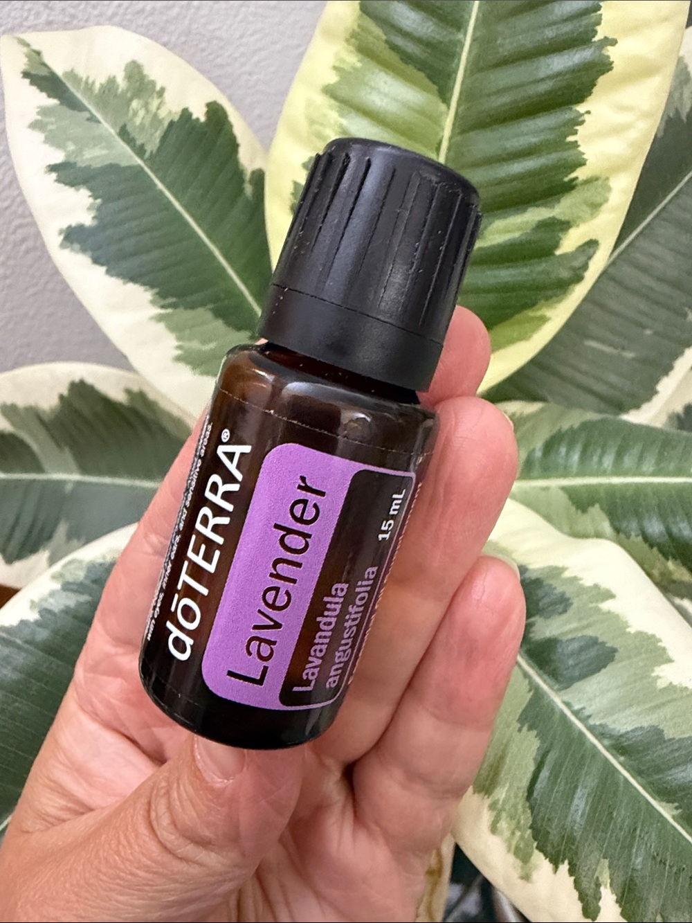 New Doterra Lavender Essential Oil 15ml